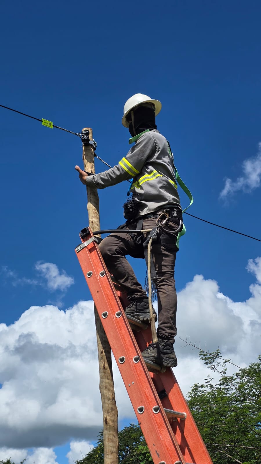 Trabalho de campo com equipamentos de segurança